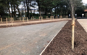 Les arbres sont plantés au clos de la Rudelière