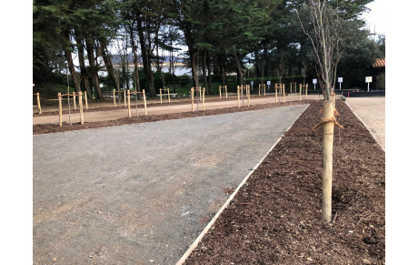 Les arbres sont plantés au clos de la Rudelière