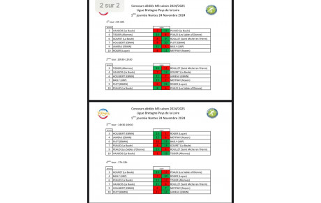 Résultats détaillés Ligue M3 Bretagnepays de Loire